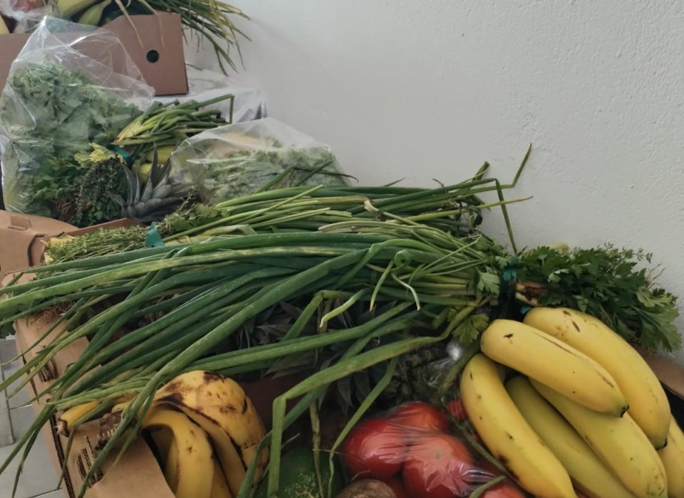 Un panier pour les familles
